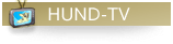 Hund-TV
